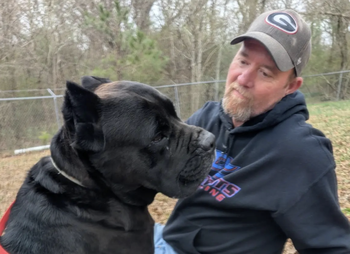 Donny Faust pets the 91.9-pound male cane corso that was humanely caught Saturday morning after roaming Crawford for months. Faust said the dog, which was named C.C., was gentle but skittish. (Photo/Submitted)