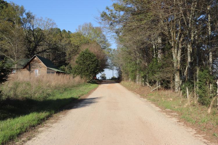 Bowen Farm Road is shown in Oglethorpe County, Georgia, on March 23. Resident Sarah Pattison said she values the area’s dark night sky, sense of safety and close connection to nature. (Photo/Emilie Sullivan)