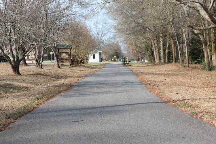 A trail walk will be held on the Firefly Trail in Maxeys (pictured) on Saturday. Another trail walk will be held on Smokey Road in Crawford. (Jessie Isaacs/The Oglethorpe Echo)