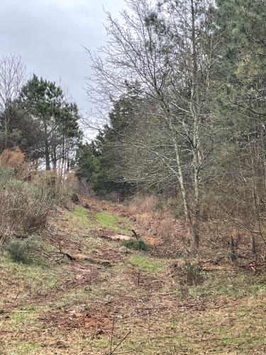 Some may see a lot of work however coach Adams saw this land and a vision was born to grow the sport of running in the county. (Submitted Photo)