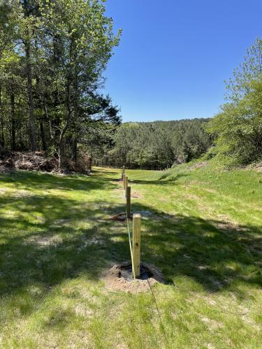 Coach Adams shared that Britt Brooks along with Beatrice Marchette and their family played a pivotal role in helping to clear the pathway for this new course. (Submitted Photo)