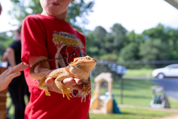 A child holds a bearded dragon at Oglethorpe Children's Academy 20th anniversary celebration in Crawford. The academy has programs for children from infancy to pre-K. (Ethan Greene/The Oglethorpe Echo)