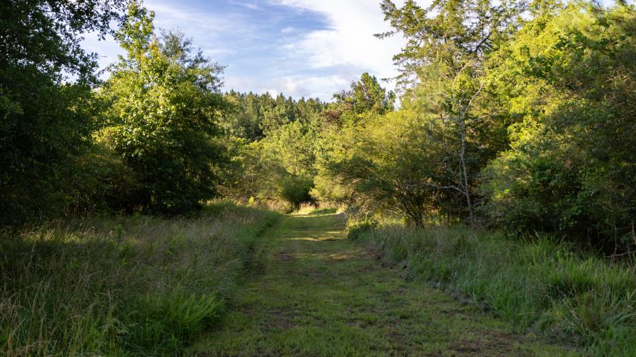 The new cross country course at Oglethorpe County Middle School in Crawford, Georgia, is shown on Tuesday, June 23, 2026. The course was complete in early April 2026. (Ethan Greene/The Oglethorpe Echo)