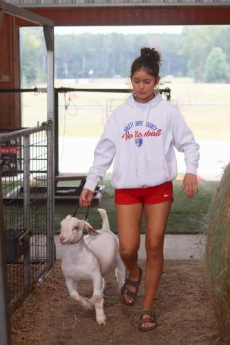 Naomi McPeake walks one of her goats back to its pen at her family’s farm last month. She manages her time between playing volleyball for OCHS and showing goats, with the help of her parents. (SYDNEY JARRARD/THE OGLETHORPE ECHO)