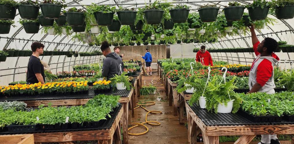 Horticulture students care for plants in the OCHS greenhouse last year. The plants students grow during the year are sold in the spring to buy plants for future classes.