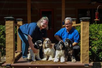 Deborah Torras and Frank Martinez try to get their cocker spaniels Anya (from left), Ralphie, Ryder and Elwood to cooperate at their home at Bright Penny Acres. All of the dogs have at least one championship. (Armani Kardar/The Oglethorpe Echo)