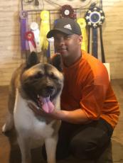 Cory Crayton and Great Gatsby, his American Akita, received an award of merit at the Westminster Kennel Club Dog Show last month. (Submitted Photo)