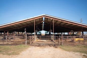 The Cabaniss Dairy farm is seen on Nov. 6, 2023. The farm exports organic milk from Stephens, Georgia, in Oglethorpe County. (Sidney Chansamone/The Oglethorpe Echo)