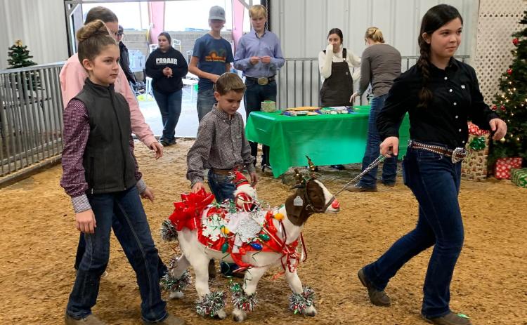 Naomi McPeake, Cam McPeake and Laura Spearing lead their festive entry into the goat decorating contest at the Oglethorpe County Christmas Classic at the Ag Education Center earlier this month. (Submitted Photo)