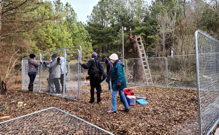 Volunteers with Paws UnChained work together to install a chain-link fence enclosure for a family that needed assistance with a secure area for their dog. The organization’s services are free to those who need them and qualify. (Submitted Photo)