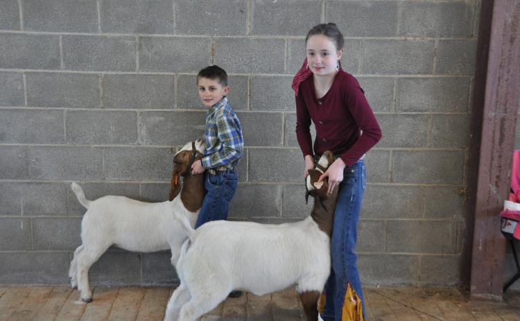 Kade Ruff (left), 7, and Kylie Ruff, 10, display their two goats, Reba and Kippy, in the backstage barn of the annual 4-H/FFA Winter Livestock  Show on Saturday. Students showcased dairy heifers, sheep, beef cattle, goats and pigs that they raised. (Elena Westbury/The Ogelthorpe Echo)