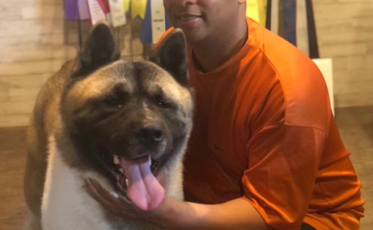 Cory Crayton and Great Gatsby, his American Akita, received an award of merit at the Westminster Kennel Club Dog Show last month. (Submitted Photo)