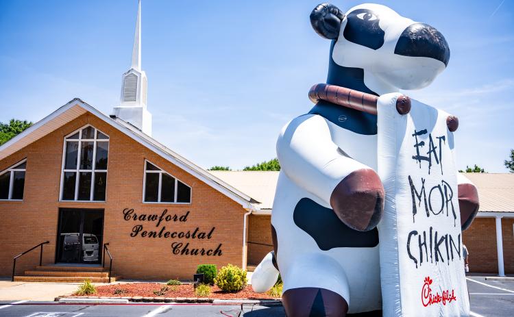 A 40-foot inflatable cow greets customers at the Chick-fil-A van that sets up at Crawford Pentecostal Church on Tuesdays. (Jack Casey/The Oglethorpe Echo)