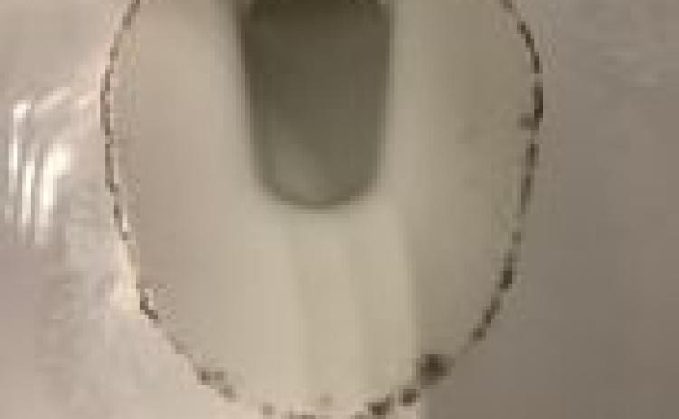 Arnoldsville resident Michaela Guest said the city’s water has caused rings to form around the toilets in her bathrooms. (Submitted Photo)