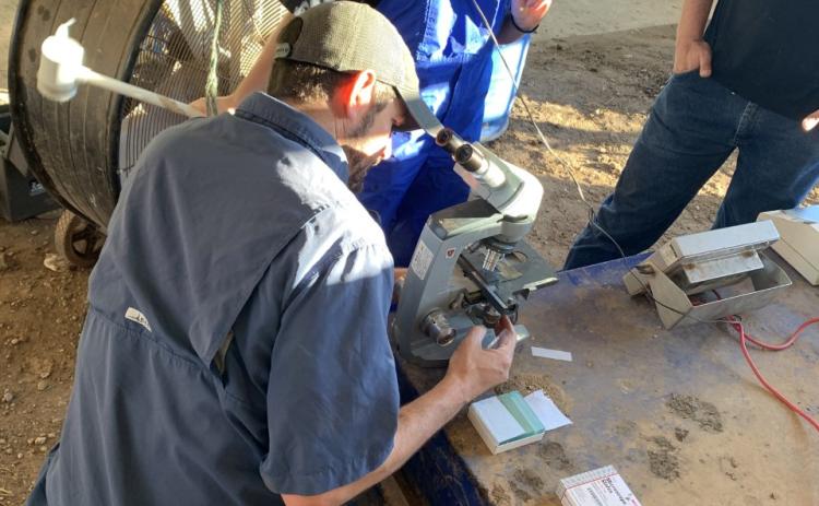 Thomas McNair, a veterinarian with Wilkes County Veterinary Services, analyzes bull semen quality at an Oglethorpe County Extension event in Rayle last Friday. (Submitted photo)