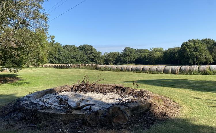 Festival goers can gather in this open  space, next to the bar at Cloverleaf Farm. (Photo/Caroline Embleau)