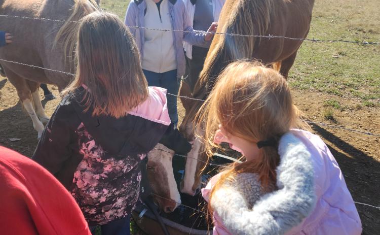 Members of the Oglethorpe County 4-H Horse Club interact with horses during the group’s first meeting at Echo Hill Farm last month. (ANDREA GUTIERREZ/THE OGLETHORPE ECHO)