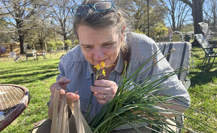 Master gardener Lamara Martin examines a daffodil before handing them out to guests at the Seed Swap. Martin, who lives in Athens, was one of two master gardeners at the Seed Swap, which was held March 4 at No. 3 Railroad Street. (SHELBY WINGATE/THE OGLETHORPE ECHO)