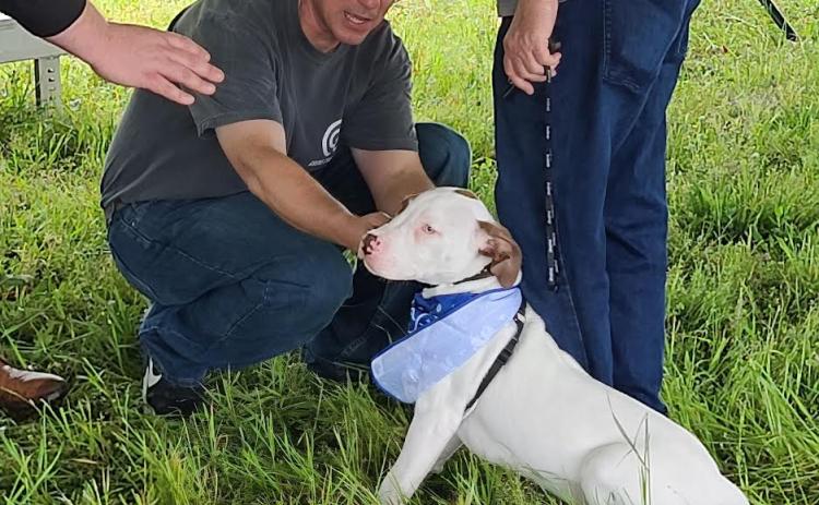 A dog receives a blessing at the inaugural Blessing of the Pets, a fundraising event held by the Winterville Animal Clinic last month. The event raised $1,300 for the clinic's Angel Fund, designed to help animals in need. (SUBMITTED PHOTO)
