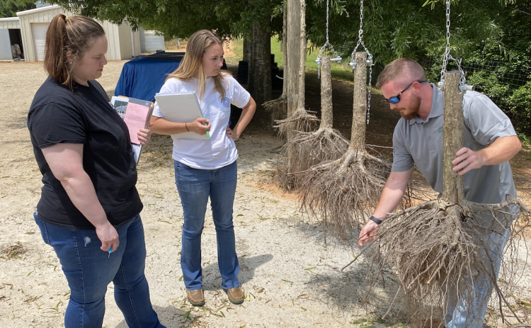 Josh Lee (right), business development manager for Select Trees, takes OCHS teachers Emily Williams ( left) and Kaitlyn Marchant on a tour of the facility as part of an externship through WorkSource NEGA.  (GARRETT KICKLIGHTER/THE OGLETHORPE ECHO)