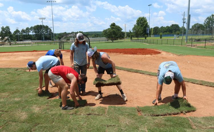 Oglethorpe County baseball players move and place the sod during work at the OCHS baseball field on July 12. The infield was leveled and the pitching mound was raised to regulation height. (LANDEN TODD/THE OGLETHORPE ECHO)
