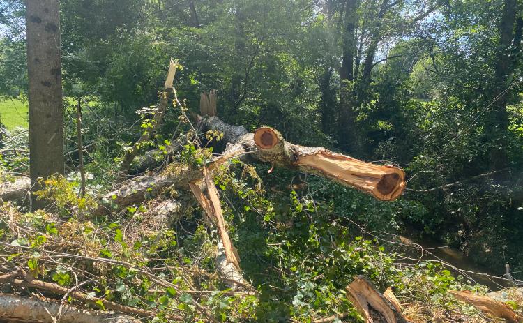 Oglethorpe County Public Works Department crews worked late Saturday night and into the early morning hours of Sunday, July 9 to clear trees and debris in several locations after storms blew down trees. There were no injuries, but crews estimated between 75-100 trees fell and needed to be cleared from Melton Road and William McCurley Road in Winterville, and Center Church Road and McWhorter Road in Stephens, said Adam Nation, the public works director. (DINK NESMITH/THE OGLETHORPE ECHO)