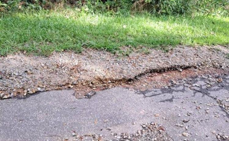 Sarah Collins, who lives on Harris Drive, stressed the poor condition of Harris Drive, which includes paving in need of repair and overgrown trees and brush, which need to be trimmed. (SARAH COLLINS/FOR THE OGLETHORPE ECHO)
