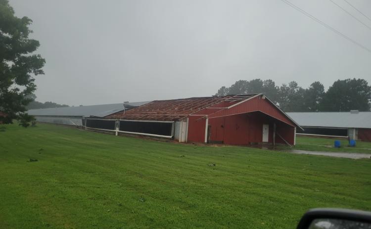 The roof was blown off a chicken house on Howard Sanders’ farm in Stephens during the storm on July 20 that blew down trees and knocked out power across the county. Sanders said the roof has been repaired. (SUBMITTED PHOTO)