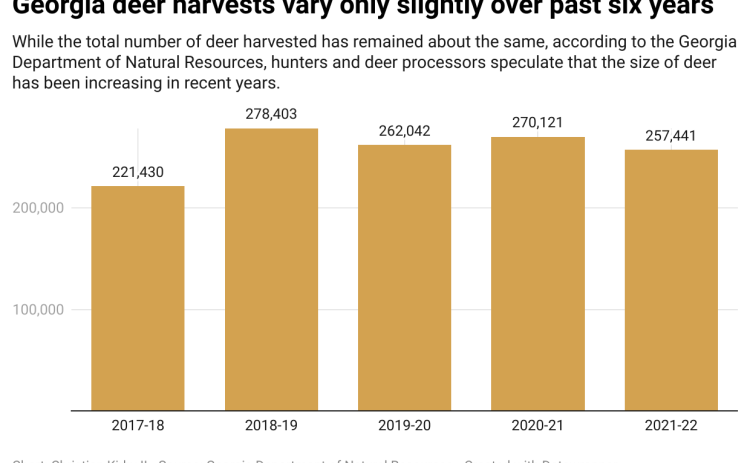 Data chart represent the amount of deer that have annually been harvested in the state of Georgia.
