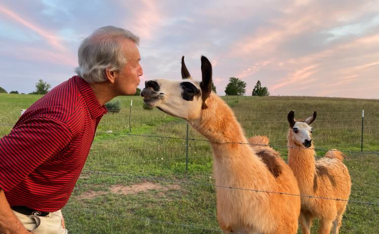 Llamas are infamous for spitting, but Dorsey Hill — of Lewis Grizzard fame — knows our Georgette is a kisser. (Dink Nesmith/The Oglethorpe Echo)