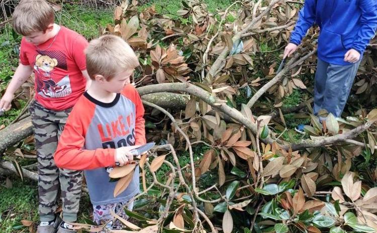 Charley Boss, Wyatt Boss and Everett Boss use their pocket knives to help clear a tree on Cherry Street in Maxeys on Sunday morning. Strong storms and winds blew over trees and knocked out power throughout the county. ADAM NATION/FOR THE OGLETHORPE ECHO