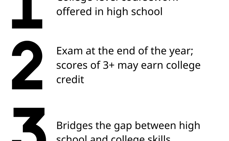 Advanced Placement courses give high school students the chance to take college-level classes, earn potential credit through exams and strengthen college applications.