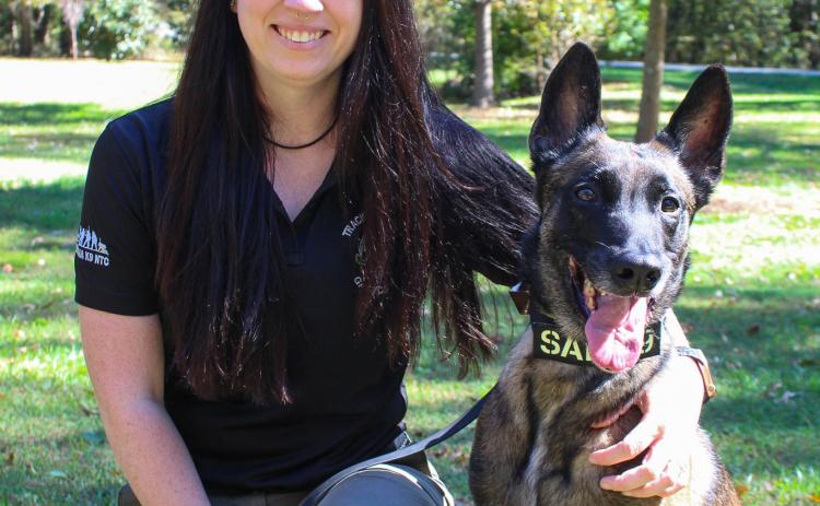 Kristen Moore, a K-9 handler, dog trainer, owner of the Georgia K-9 Athens location and vice president of Central Georgia K-9 Search and Rescue, holds her Belgian Malinois named Carerra at Pittard Park in Winterville this fall. The pair work together in human remains detection and trailing exercises. (Gabrielle Gruszynski/The Oglethorpe Echo)